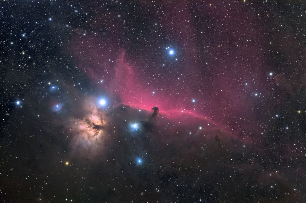 155992-D810A_TY_01_005_Horsehead_A3-d71aeb-large-1423491638