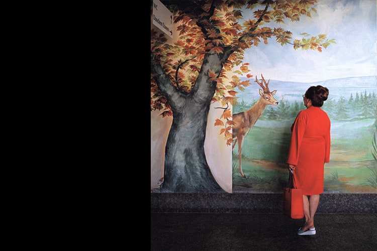 IFL_webbanner-Winnaar-2015-Alexander-Krack